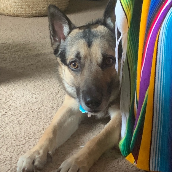 Looking for more vintage items? Check out my page @boho_vintage_mcm - Picture 8 of 8